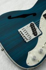 FREEDOM CUSTOM GUITAR RESEARCH Green Pepper -Blue-_4
