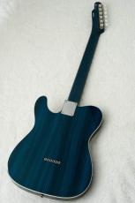 FREEDOM CUSTOM GUITAR RESEARCH Green Pepper -Blue-_8