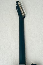 FREEDOM CUSTOM GUITAR RESEARCH Green Pepper -Blue-_10