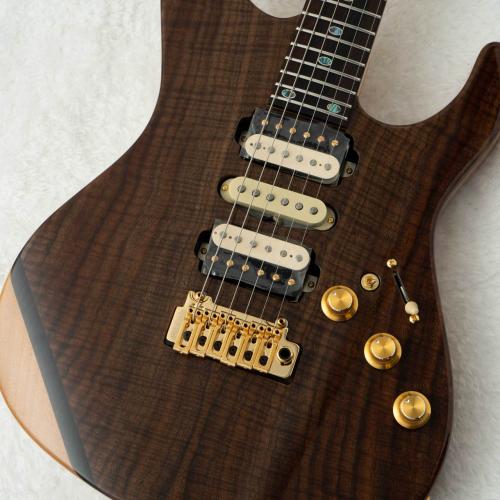 FREEDOM CUSTOM GUITAR RESEARCH HYDRA 24F 2Point -Walnut Natural-