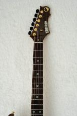 FREEDOM CUSTOM GUITAR RESEARCH HYDRA 24F 2Point -Walnut Natural-_7