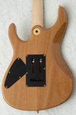 FREEDOM CUSTOM GUITAR RESEARCH HYDRA 24F 2Point -Walnut Natural-_10