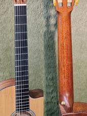 Martin 000c Nylon w/Fishman Matrix VT Enhance -2018USED!!-【48回迄金利0%対象】_7