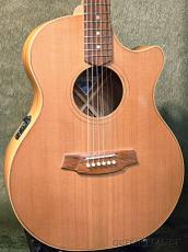Cole Clark AN2EC-CB Angel (Cedar/Blackwood) -2020USED!!-【48回迄金利0%対象】_2