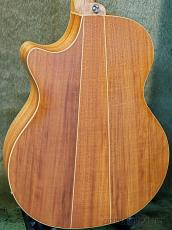 Cole Clark AN2EC-CB Angel (Cedar/Blackwood) -2020USED!!-【48回迄金利0%対象】_3