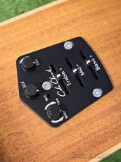 Cole Clark AN2EC-CB Angel (Cedar/Blackwood) -2020USED!!-【48回迄金利0%対象】_9