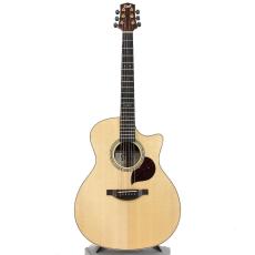 Starsun F130-GA "Sitka Spruce & Indian Rosewood"_2