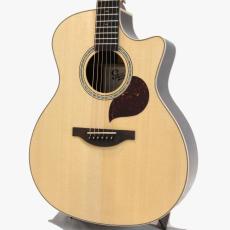 Starsun F130-GA "Sitka Spruce & Indian Rosewood"_3