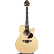 Starsun F120-GA "Sitka Spruce & African Mahogany"_2