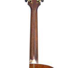 Starsun F120-GA "Sitka Spruce & African Mahogany"_9