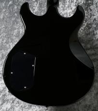 Fender Custom Shop Master Built Robben Ford Custom Instrument by Greg Fessler / Black [4.15kg][2001年製]_4