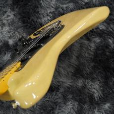 Fender Limited Edition American Professional II Stratocaster Blackguard Blonde / Maple【限定モデル】_10