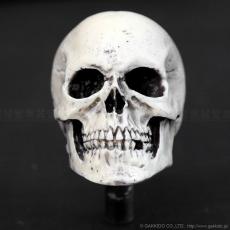 Dread Meister Skull Cymbal Nut スカル・シンバルナット_2