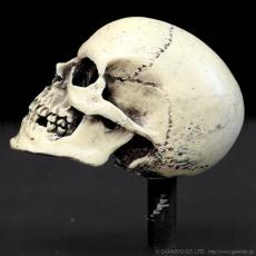 Dread Meister Skull Cymbal Nut スカル・シンバルナット_3
