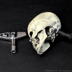Dread Meister Skull Cymbal Nut スカル・シンバルナット_5