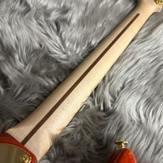 FUJIGEN Expert ODYSSEY EOS2-FM-R/RKG/01「ライプ・カキ・グラデーション」 【現物画像】_10