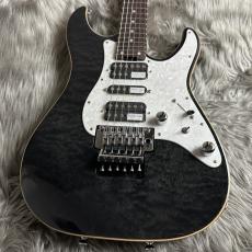 SCHECTER SD-2-24-AL -See-Thru Black/Rosewood【現物画像】【最大36回分割無金利キャンペーン実施中】