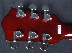 Gretsch G2655T Streamliner Center Block Jr. Double-Cut with Bigsby Tropico_9