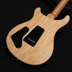 Paul Reed Smith [PRS] S2 Special Semi-Hollow Reclaimed Limited Edition 【3.22kg】_8