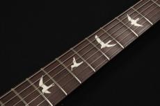 Paul Reed Smith [PRS] S2 Special Semi-Hollow Reclaimed Limited Edition 【3.22kg】_10