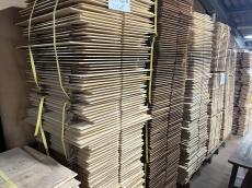 ASTURIAS SOLO STANDARD/S S/N 46573【現地選定品】_2