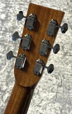 ASTURIAS SOLO STANDARD/S S/N 46573【現地選定品】_7