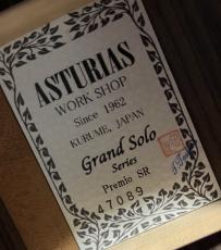 ASTURIAS GRAND SOLO PREMIO SR S/N 47089【久留米市アストリアスにて現地選定】_11