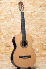 ASTURIAS TSUJI S-1/C_3