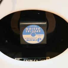 Bad Cat Mini Cat 5Watt_3