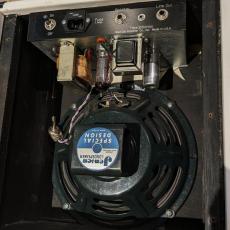 Bad Cat Mini Cat 5Watt_5