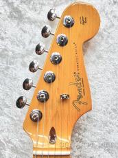 Fender 【Bonus Sale】American Professional Classic Stratocaster -Faded Lake Placid Blue-【US25070098】_5