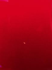 Fender American Original '60s Jaguar -Candy Apple Red- 2017年製【Rare!】_7