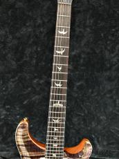 Paul Reed Smith [PRS] Custom 24 10TOP -Aurora Borealis-【2025NEWカラー!】【良杢&軽量おすすめ個体】【ハイエンドフロア】_9