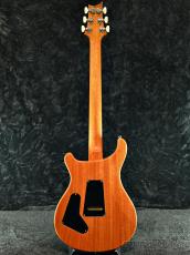 Paul Reed Smith [PRS] Custom 24 10TOP -Aurora Borealis-【2025NEWカラー!】【良杢&軽量おすすめ個体】【ハイエンドフロア】_10