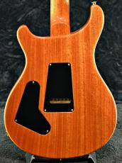 Paul Reed Smith [PRS] Custom 24 10TOP -Aurora Borealis-【2025NEWカラー!】【良杢&軽量おすすめ個体】【ハイエンドフロア】_11