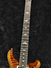 Paul Reed Smith [PRS] Custom 24 10TOP -Black Gold-【2025NEWカラー!】【良杢&軽量おすすめ個体】【ハイエンドフロア】_9