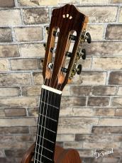 Cordoba コルドバ GK Studio Limited _7