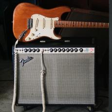 Fender 1975  Twin Reverb Silver Face_11
