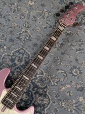 Sire V7 Alder 5st -Burgundy-_5