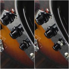 FUJIGEN NJB100RAL -3Tone Sunburst-【4.27kg】_6