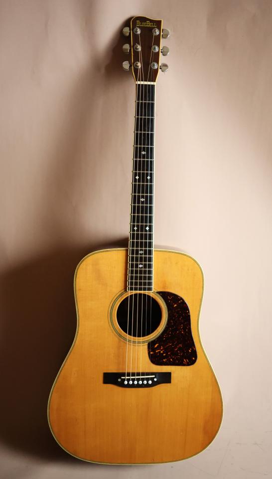 アコースティックギター bluebell アコースティックギター BLUEBELL (Blue Bell アコースティック