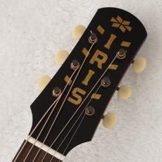 IRIS GUITAR COMPANY 【スペシャルプライス!】 MS-00 Model Tobacco Burst 【動画あり】【48回無金利】【買取・下取強化中!】【町田店】_3