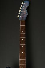 momose MJS-TOCHI WSE'24/NJ -Hydrangea Blue Burst / HYD-BL-B- #20019【町田店】_5