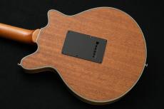 Brian May Guitars Brian May Special Left Hand  "Natural"【本人監修モデル】【左利き用】【BHM232756】【町田店】_9