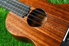 KoAloha KTM-16/Imaikalani Pikake 6弦(複弦)_9