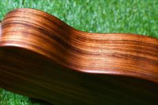 KoAloha KTM-16/Imaikalani Pikake 6弦(複弦)_13