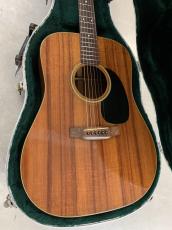 Martin D-25K2 1980年製 オールハワイアンコア材単板 希少モデル!_2