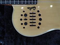 Godin Multiac MIDI Classic_4