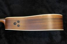 Martin DCPA4 ROSEWOOD 2013_6