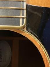 Guild 【1980年製】【サイド&バック ローズウッド】F-30R NT_8